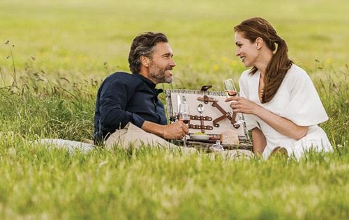 Picnichero 500x316