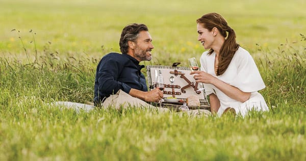 Picnichero 500x316