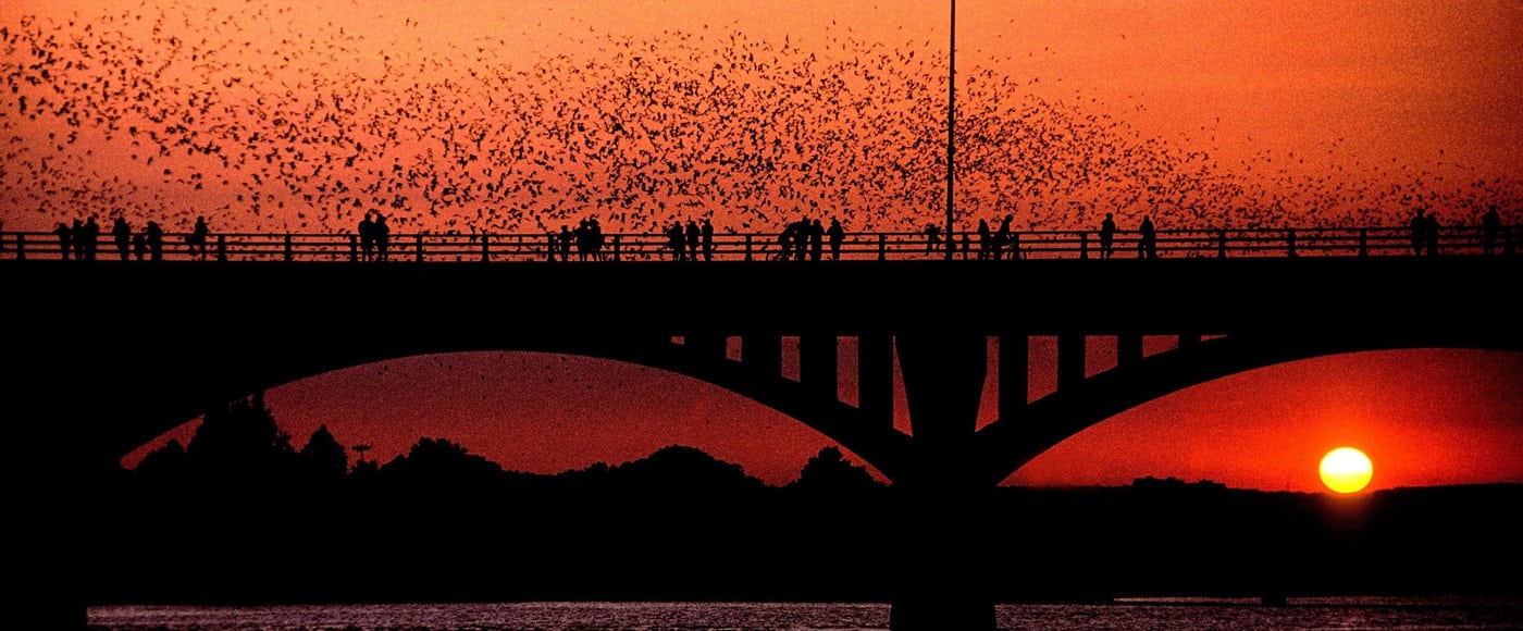 Sunset in Austin