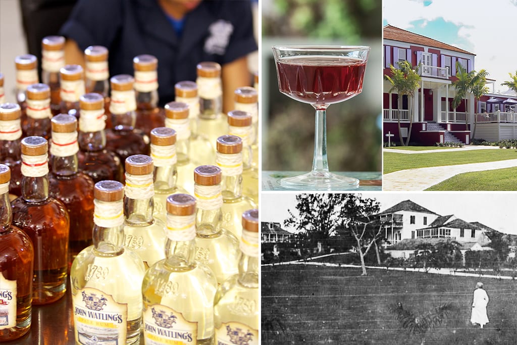 Bahamas rum tasting
