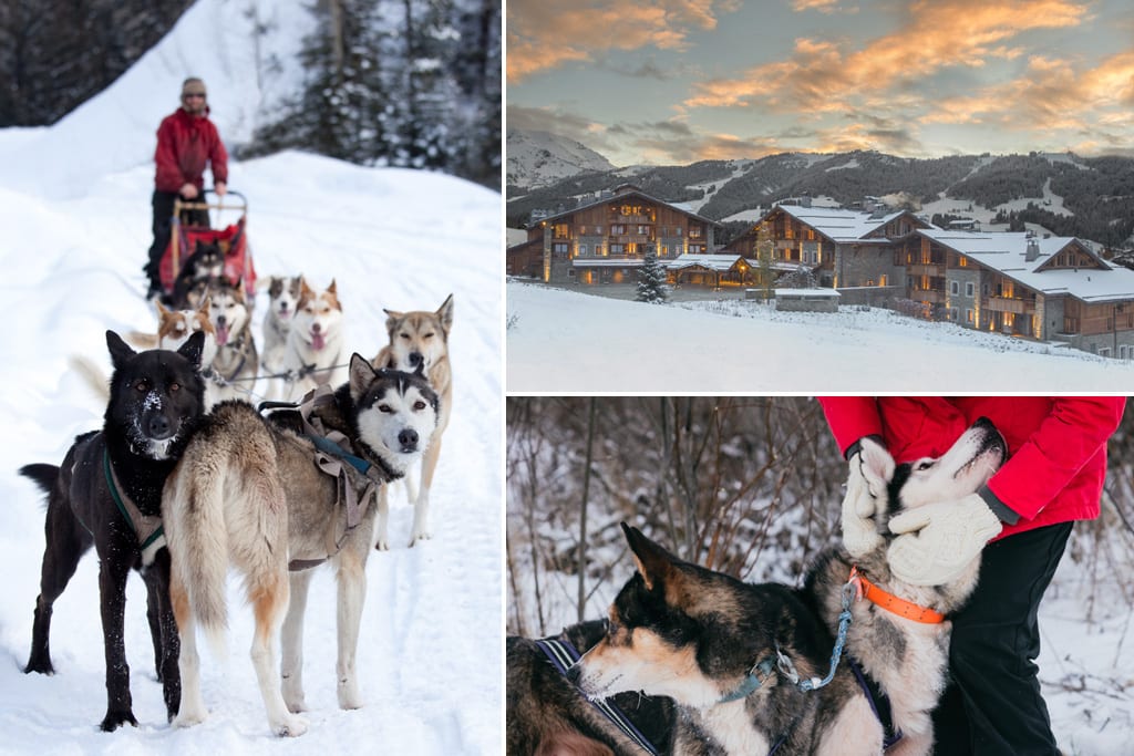 Dogsledding FS Megève