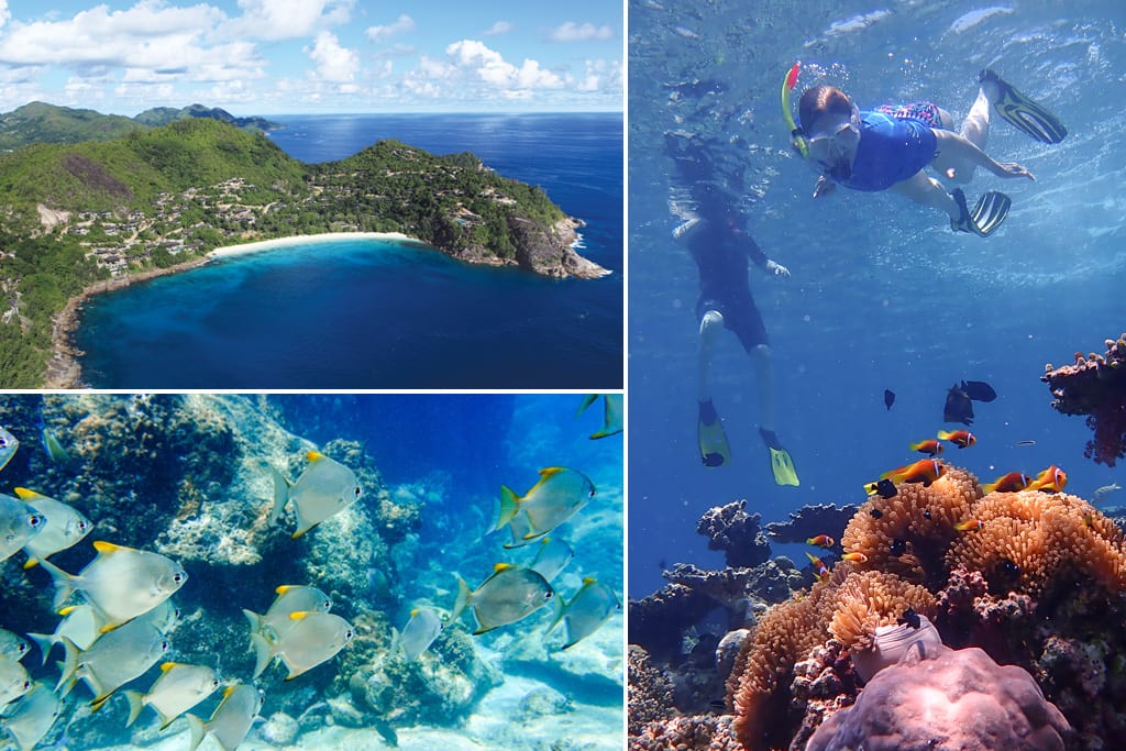 Coral conservation Seychelles