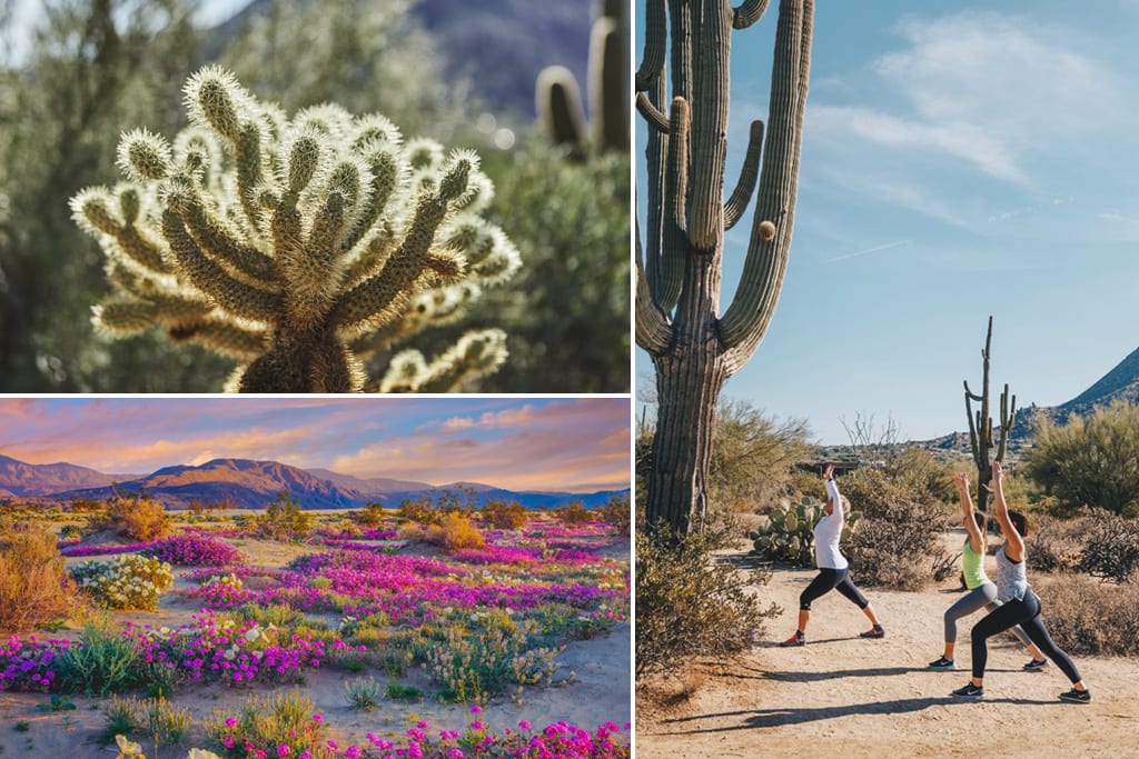 Zen hike Scottsdale