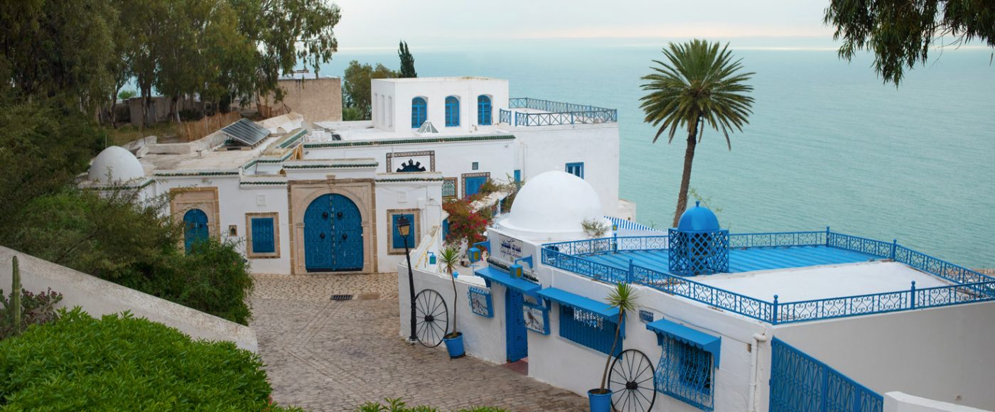 Tunis European Marvel Grant Legan Banner