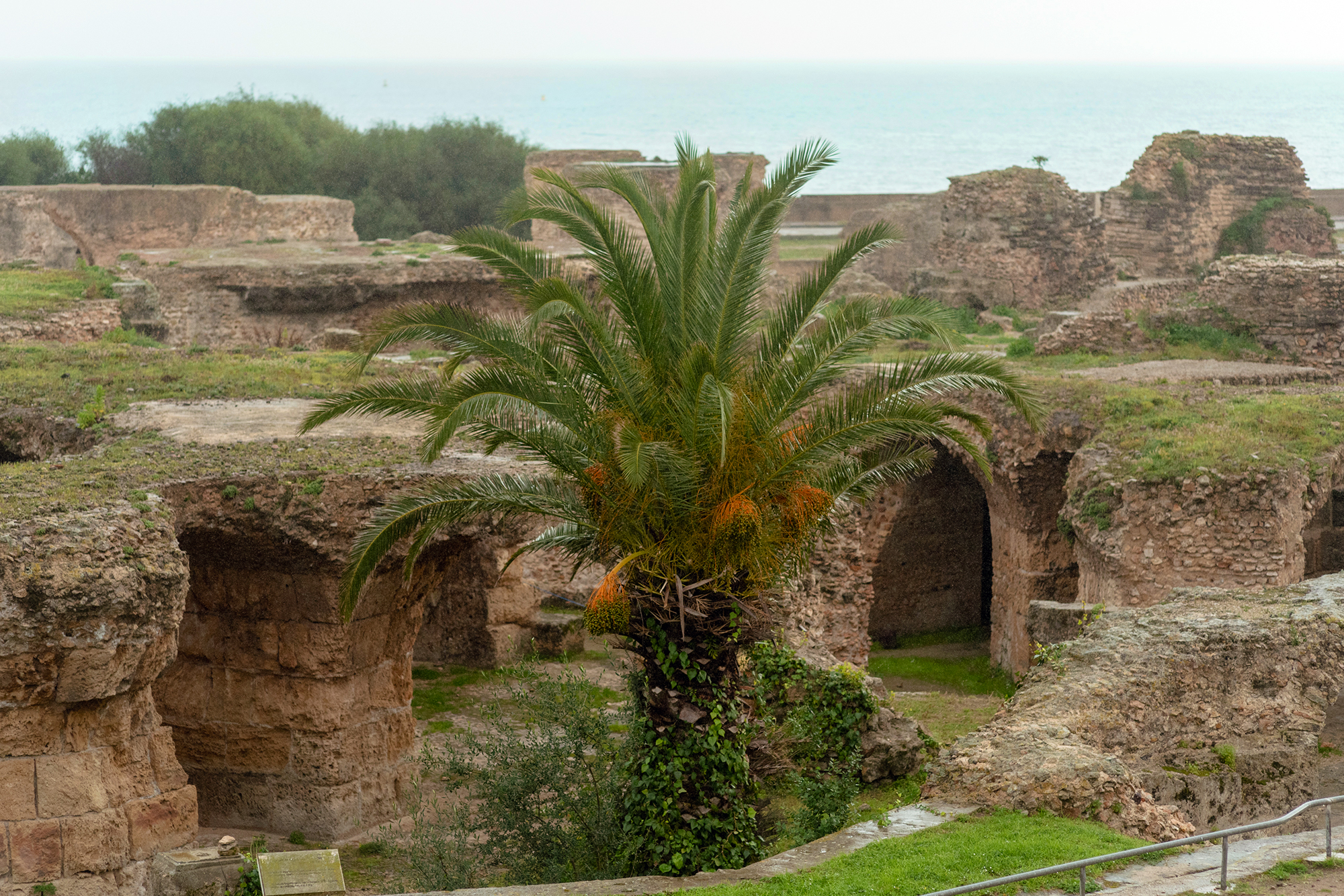 Tunis10