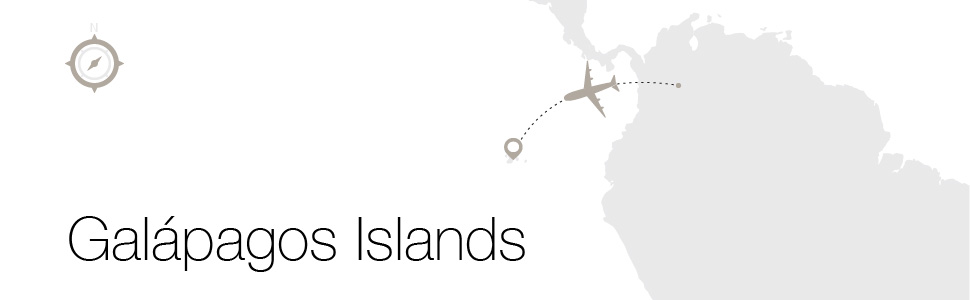 Wofs Private Jet Location Banners 04 04