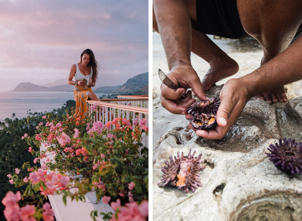 Extend Your Aloha Oahu Grid Flowers