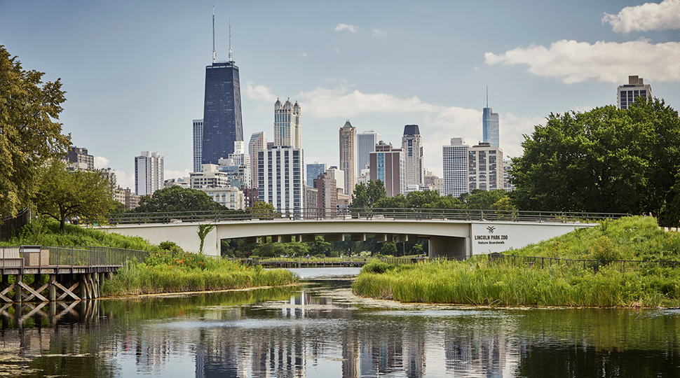 Chicago downtown skyline