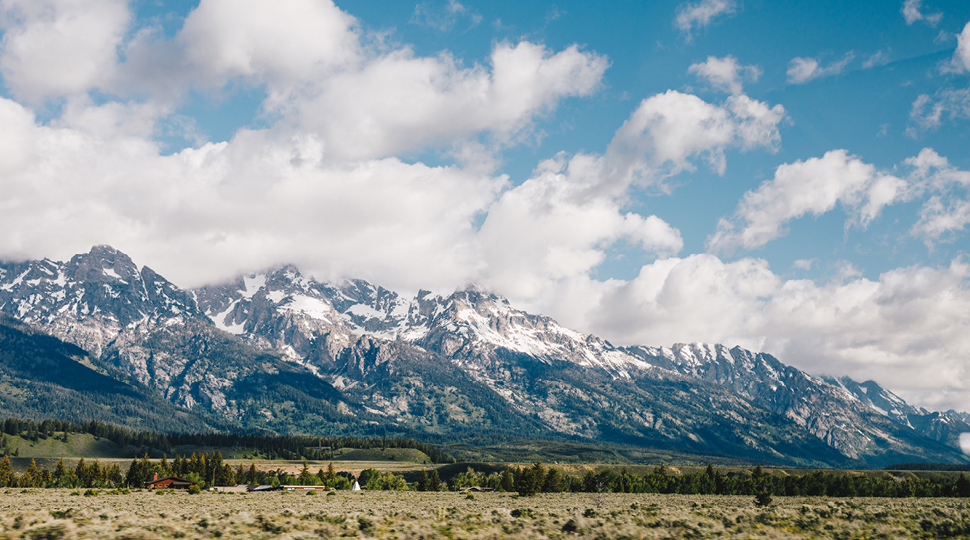 Jackson Hole landscape
