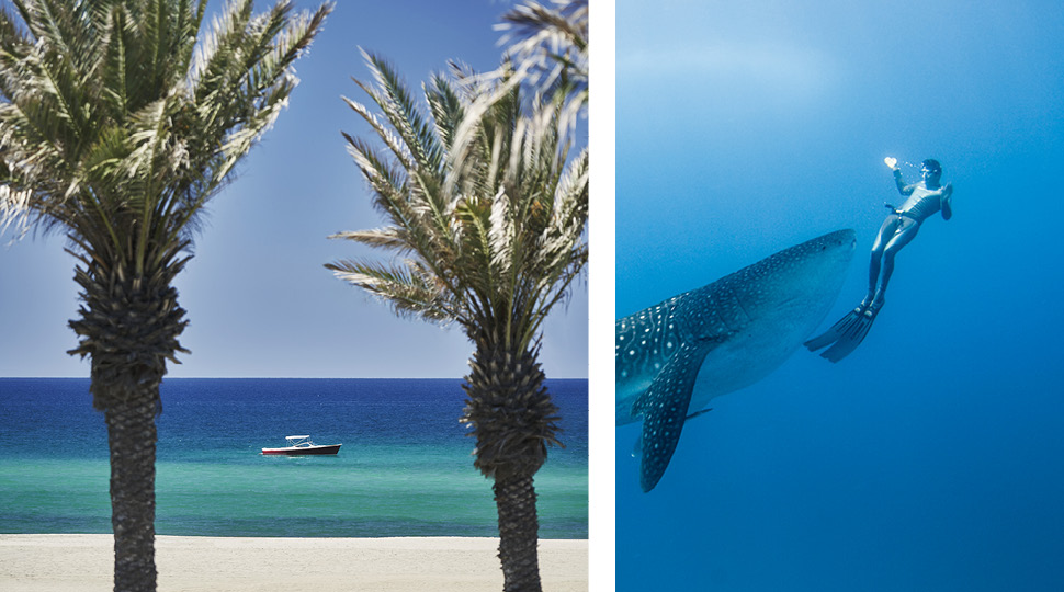 Like A Local Loccabos Grid 970x540