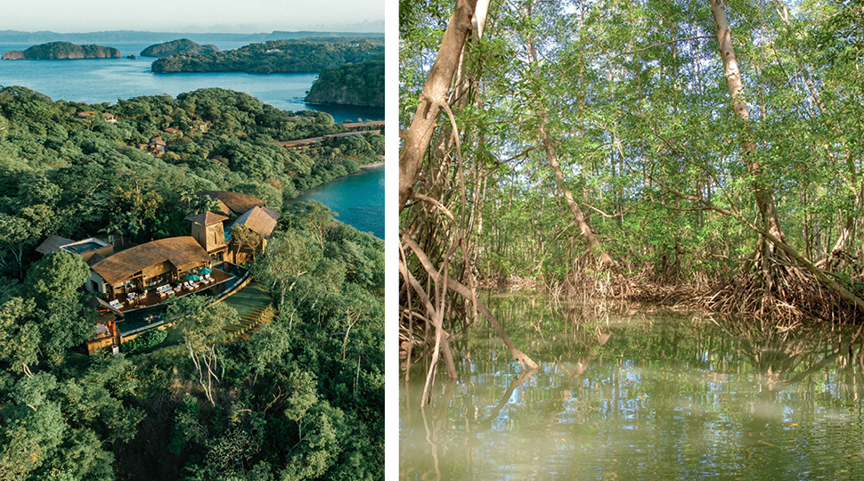 Property Overview And Mangroves
