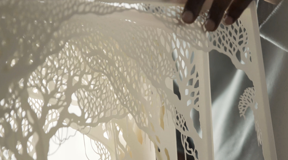 Showing Off Paper Layers