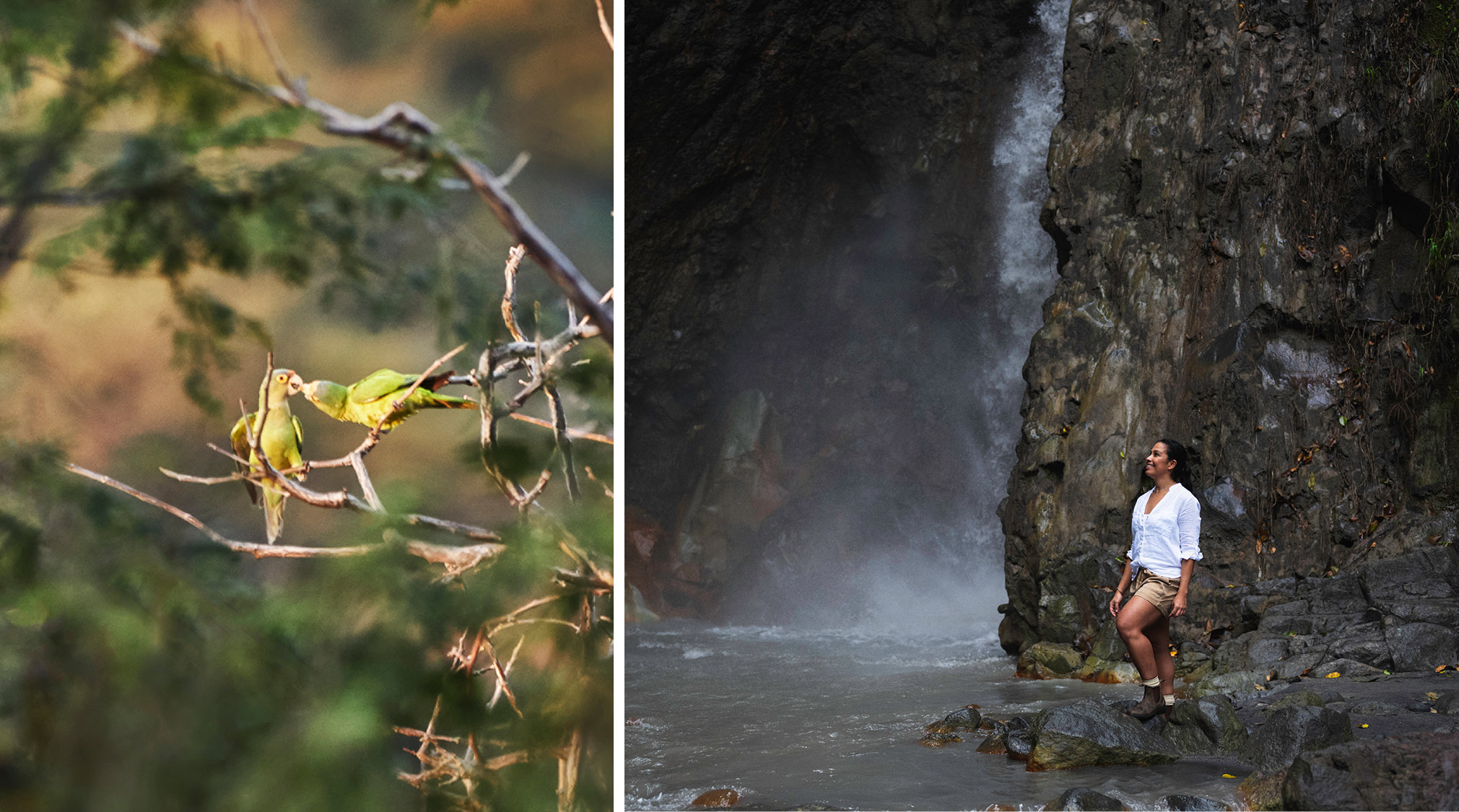 Cos 1343 Waterfall Collage 970x540
