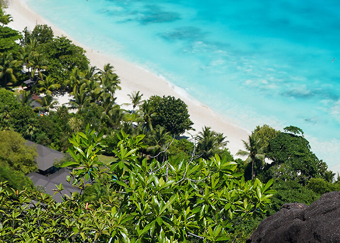 Sey 1128 1400x500