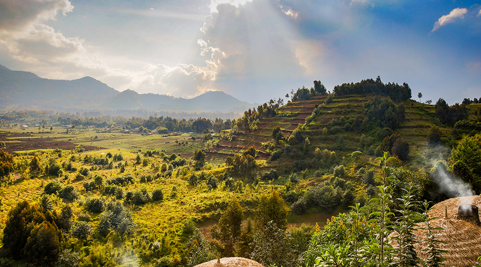 Rwanda Volcanoes National Park