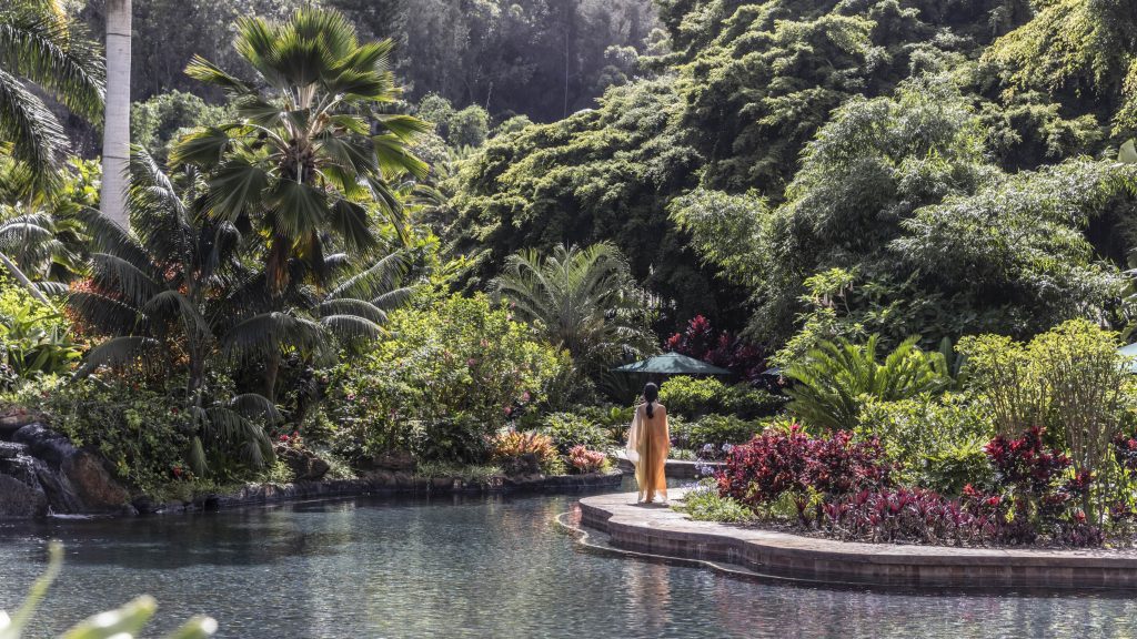 A Weekend of Wellness