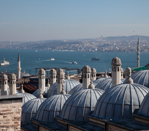 Img 4471