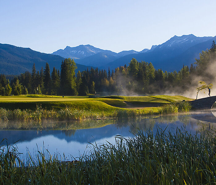 A mountain lake in the summer
