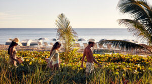A group of people walking through tall grass and plants towards a beach.
