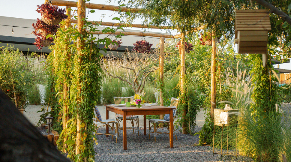 Wooden rectangular table set beneath a garden pergola