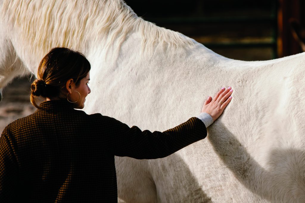 Equus Experience, Santa Fe