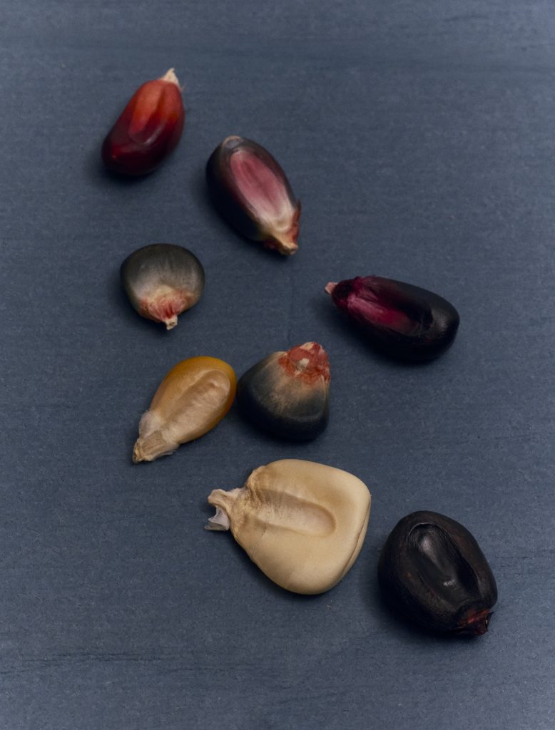 Heirloom Masa, Photo by Vanessa Granda, Food Styling by Pearl Jones