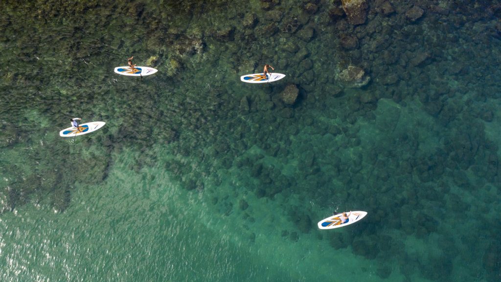 FS Tamarindo Paddle Boarding