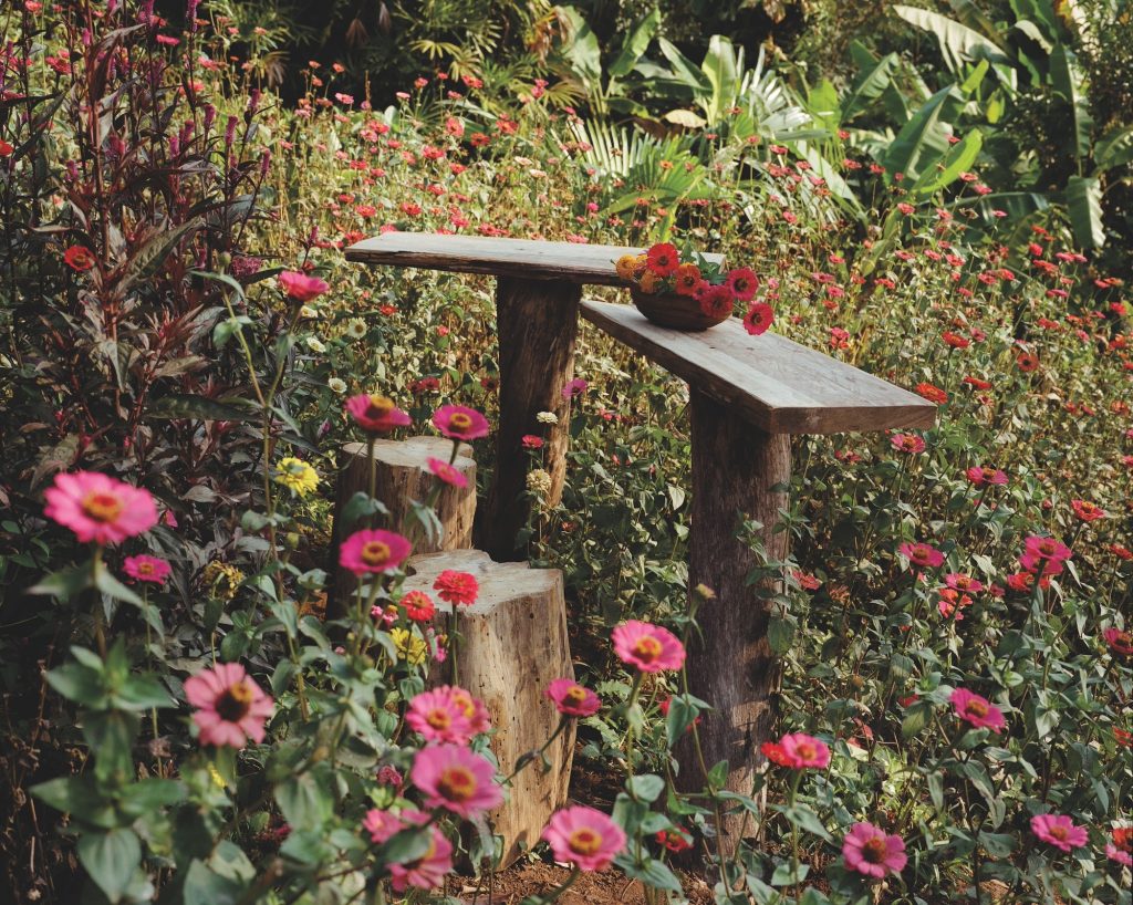 FS Thailand, by Mailee Osten-Tan