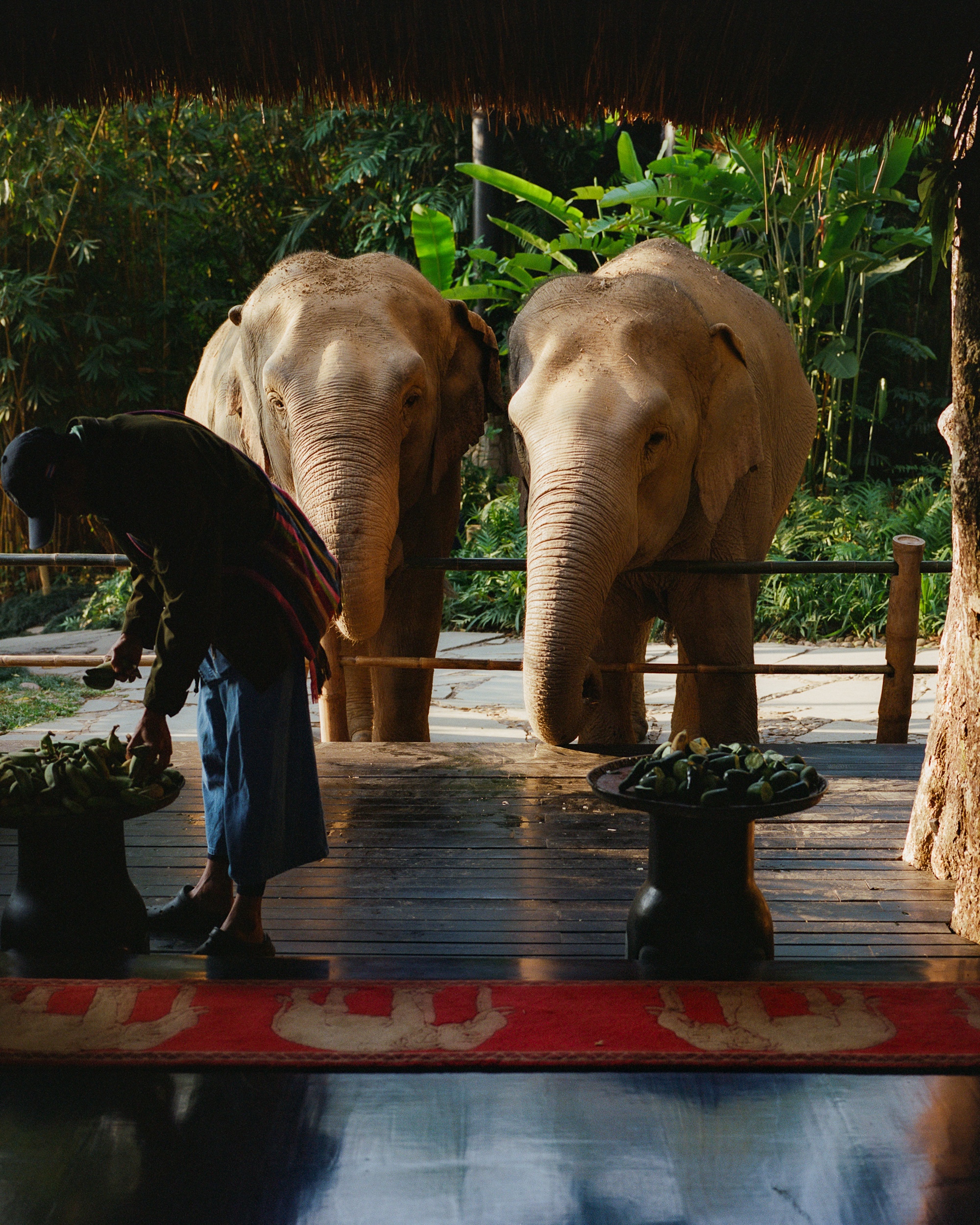 FS Thailand, by Mailee Osten-Tan