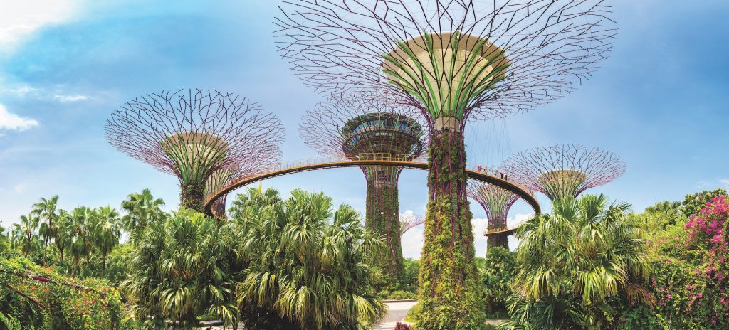 A Longevity Expert’s Guide to Singapore
