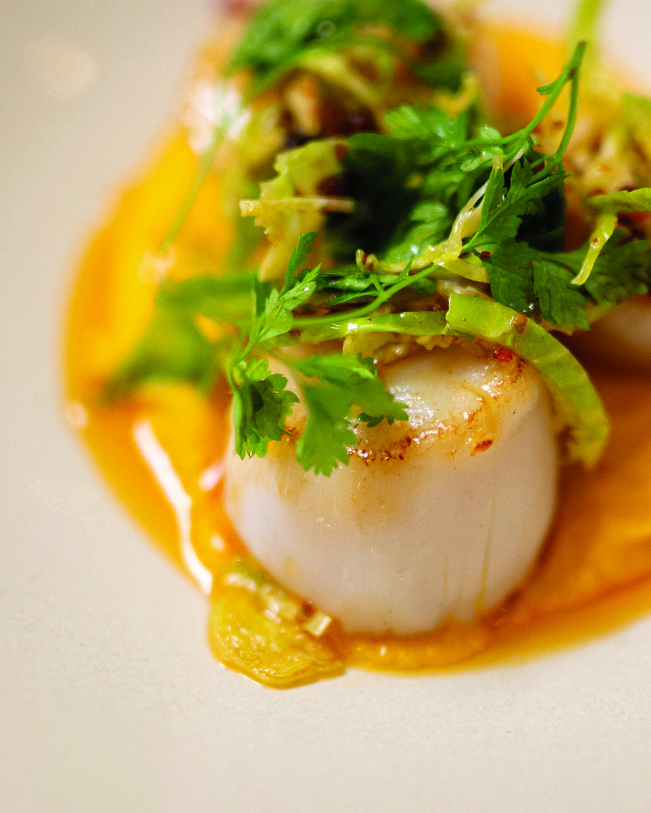 Scallops at Bru in Paris