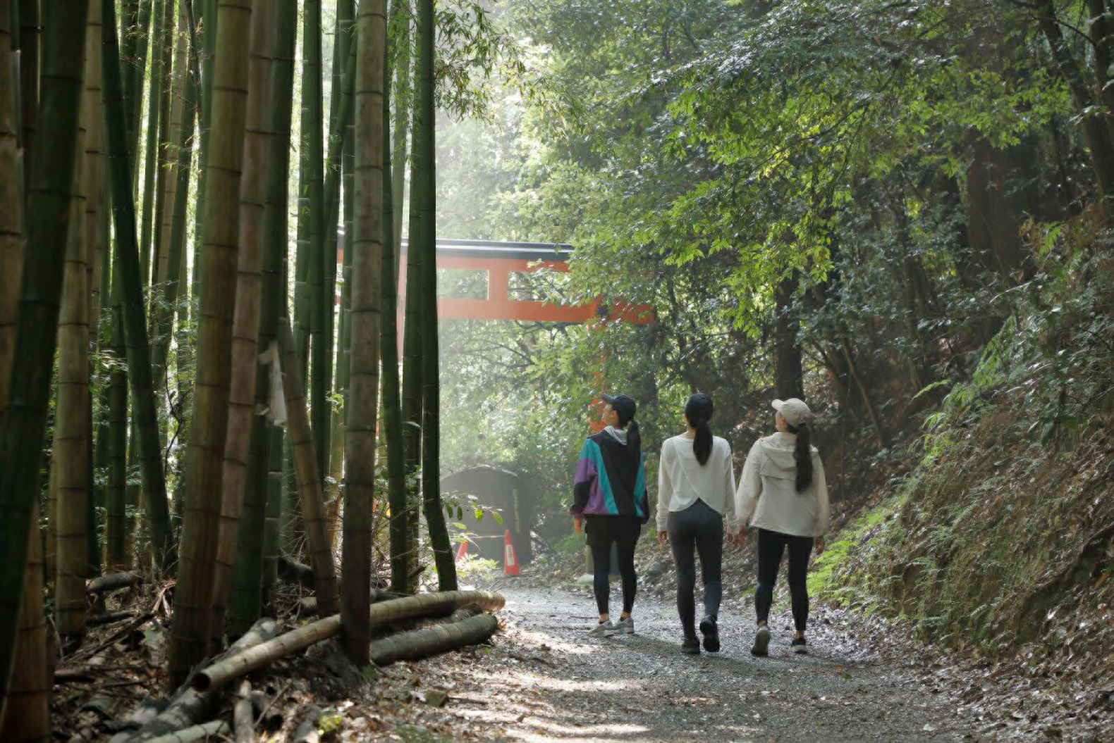 Forest bathing at Fushimi Inari shrine