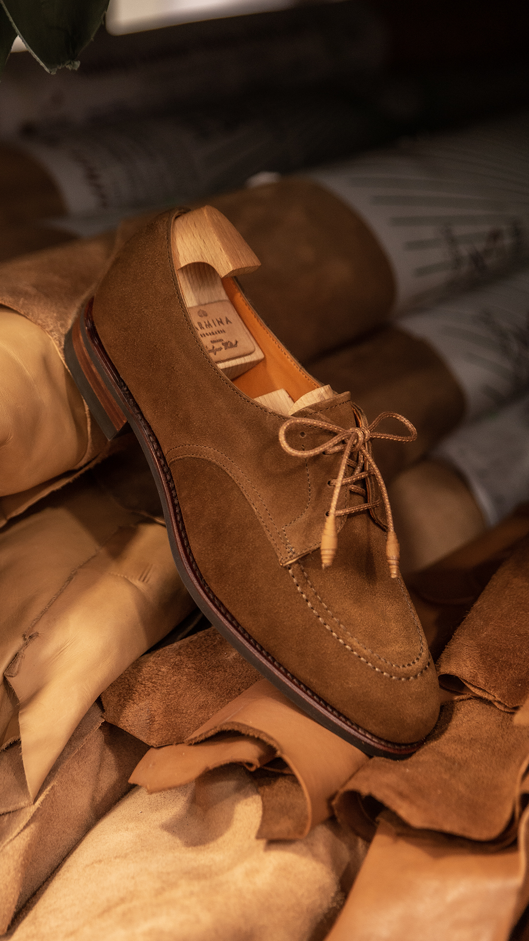 CARMINA SHOEMAKER'S DERBY