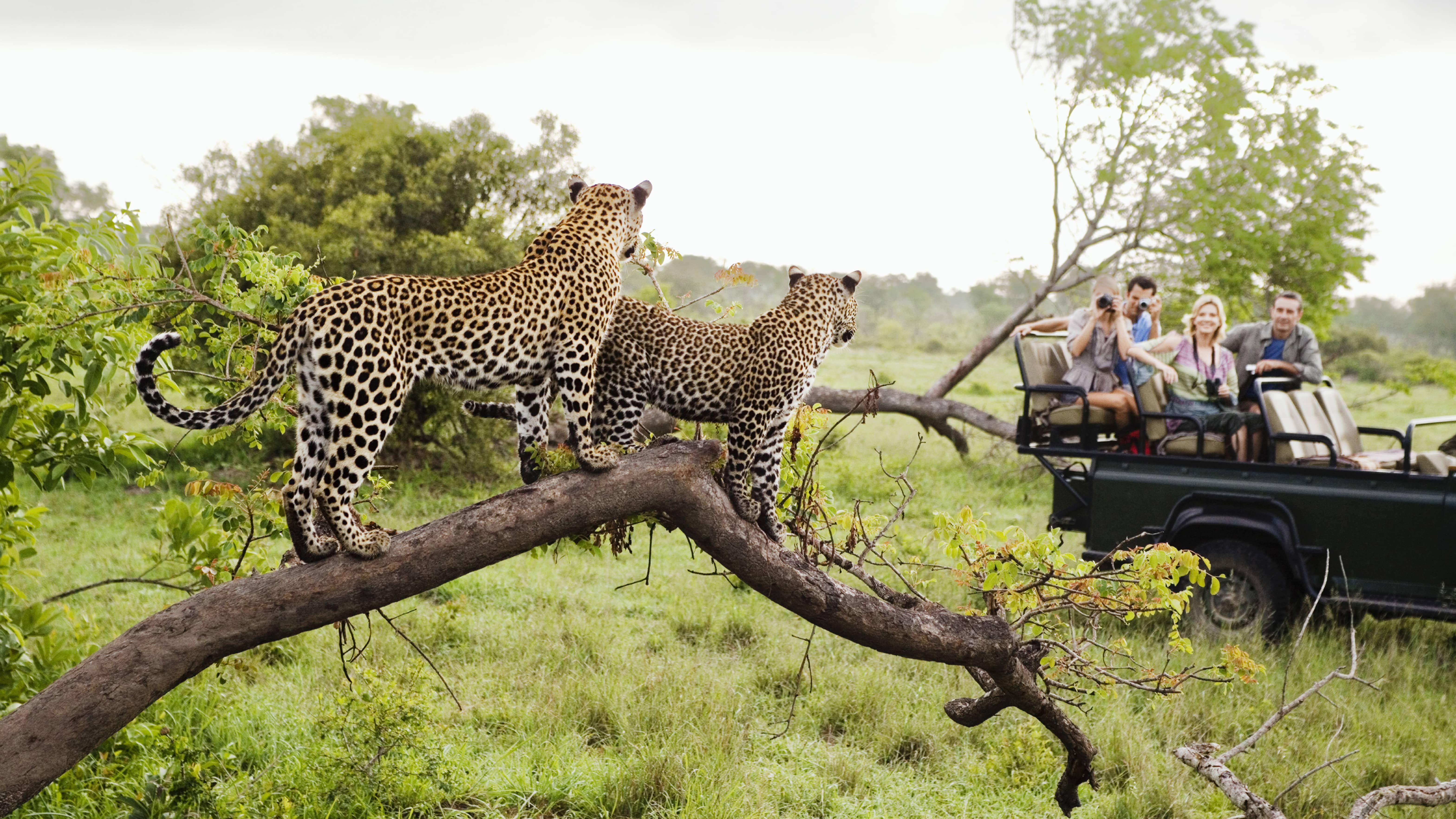  African Wonders 2024  