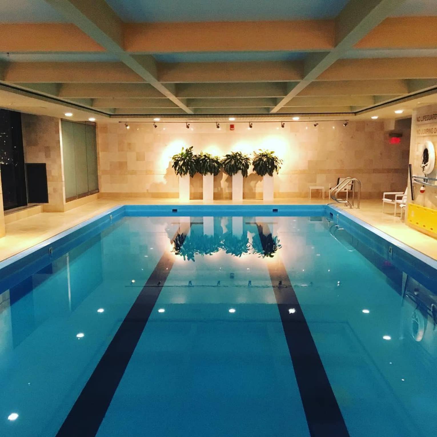 Long indoor swimming pool in dimly lit room with three planters, lights