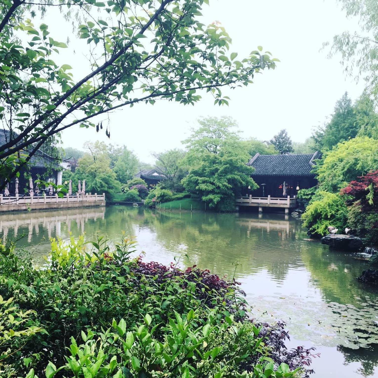 Shrubs trees around West Lake, Four Seasons Hotel Hangzhou villas