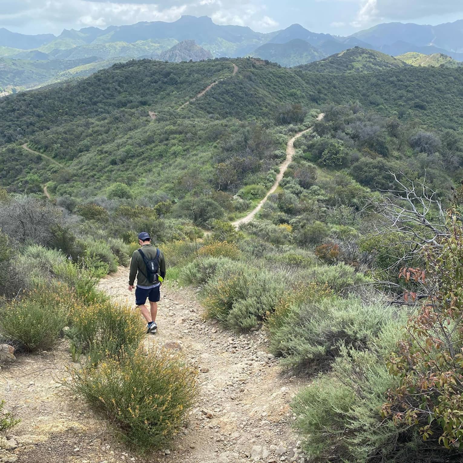 Back of man hiking down California mountain trail