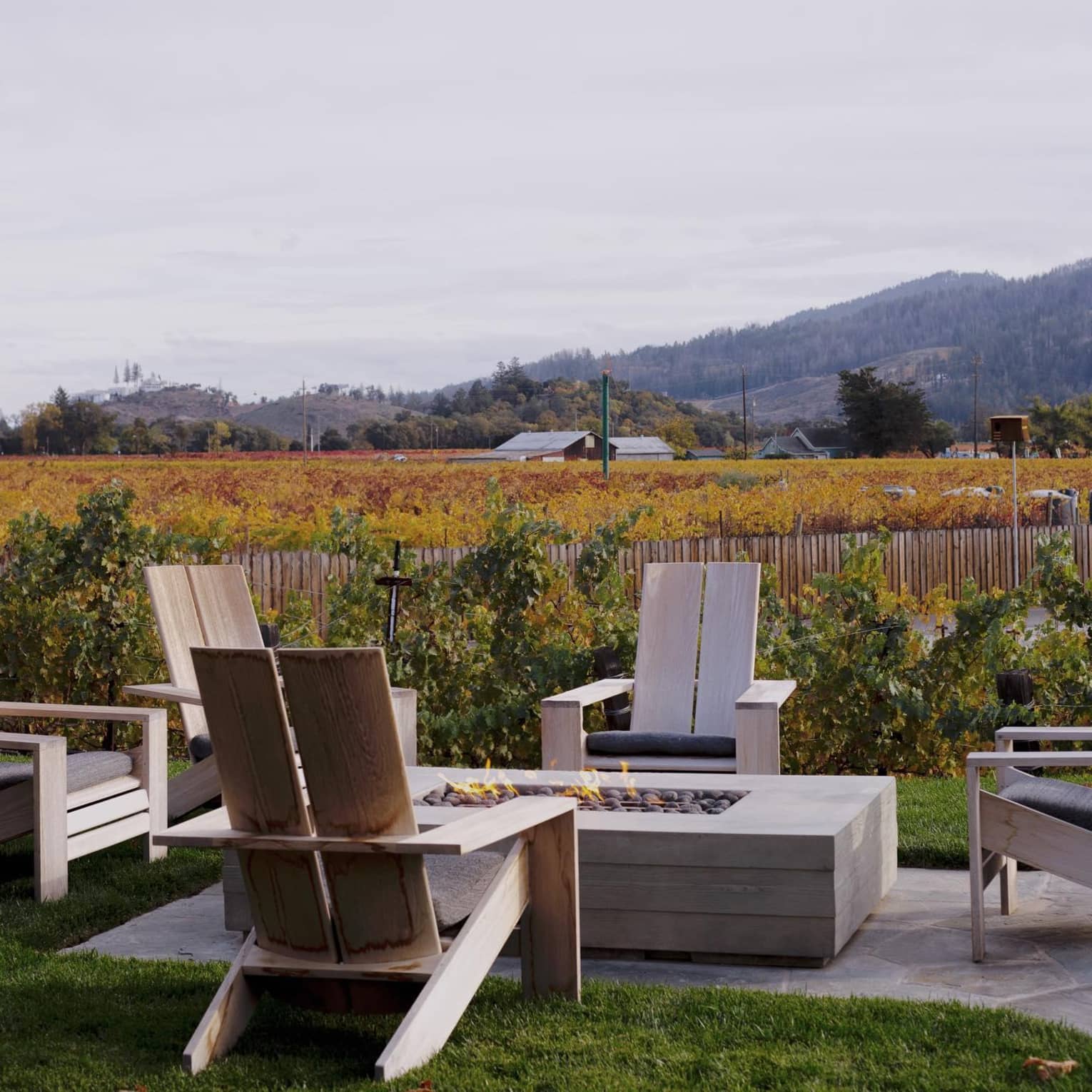 Outdoor seating area with wooden chairs surrounding a fire pit, overlooking a vineyard with autumn foliage. Hills and farm buildings are visible in the background.