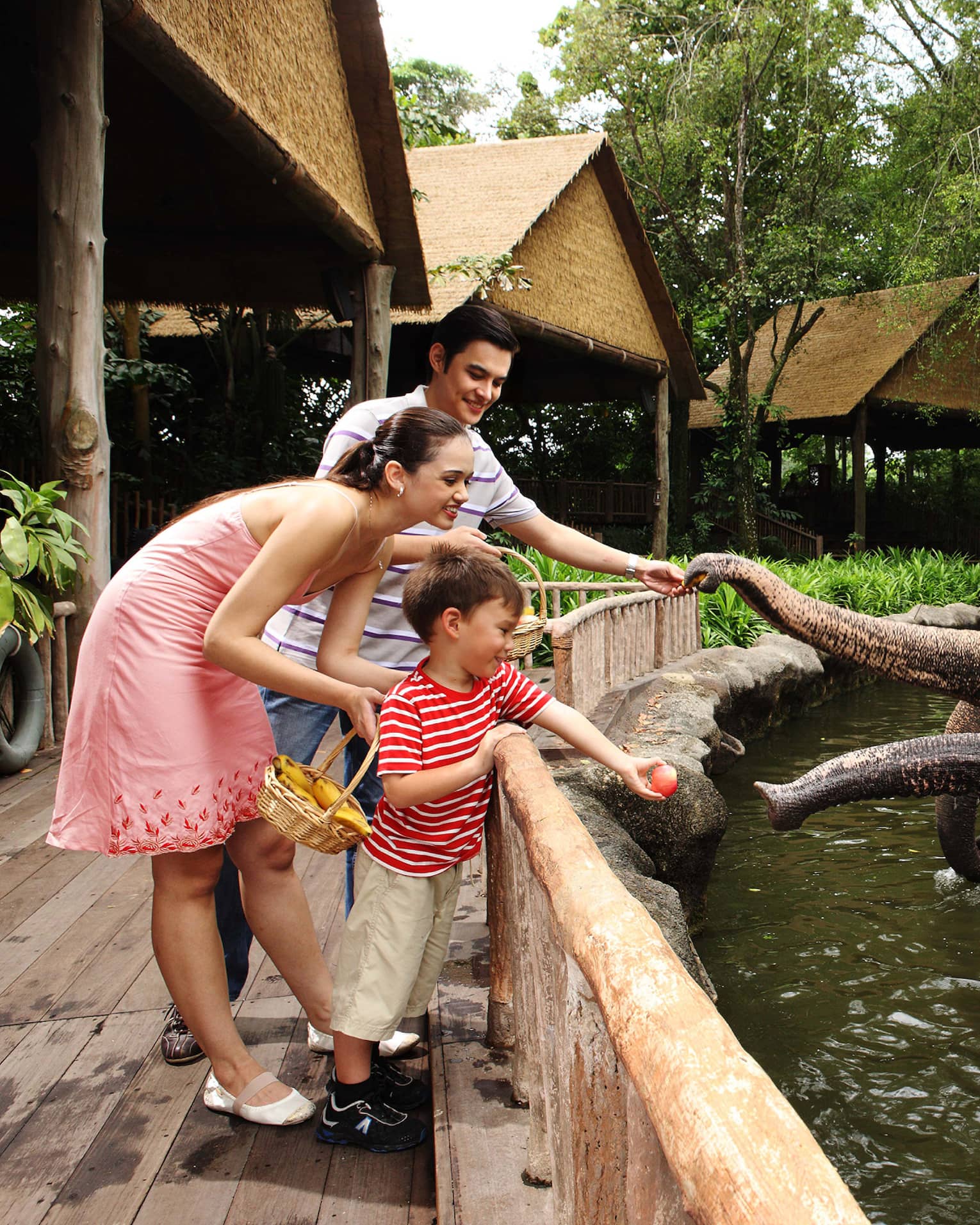 From a bridge, a smiling family feeding fruit to four elephants; two trainers are watching as they each sit upon an elephant.