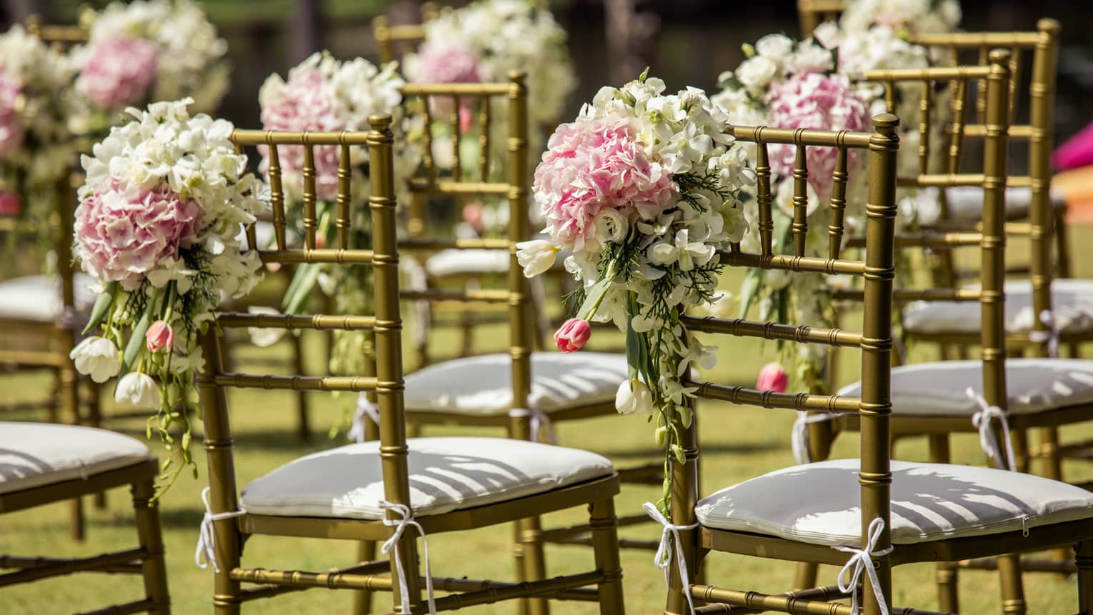 Rows of chairs with pink and white flowers on wedding event lawn