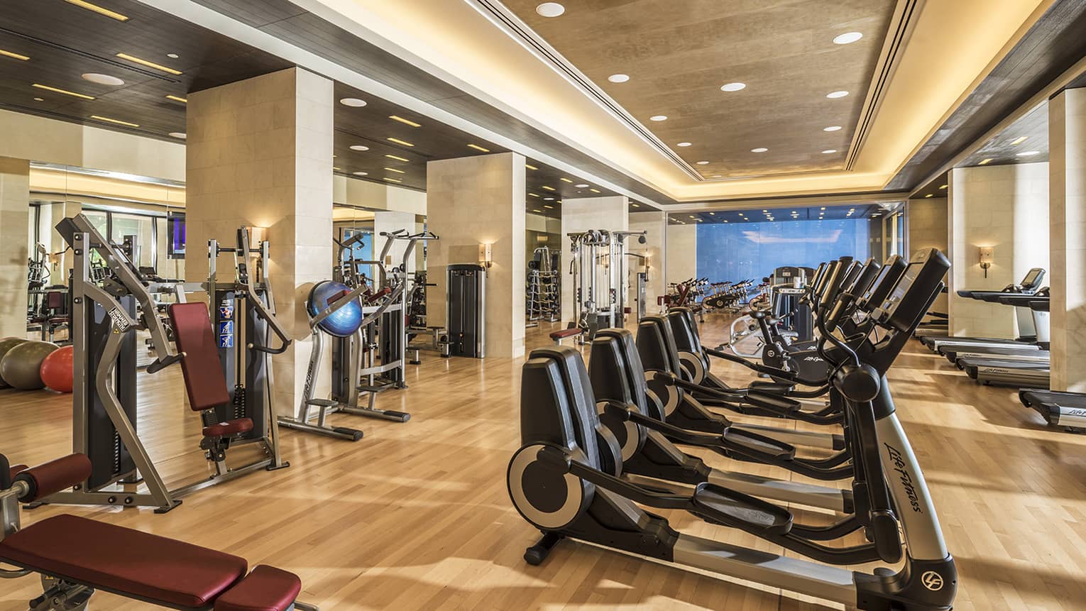 View of 30 Life Fitness cardio machines in bright room with pot lights across ceiling