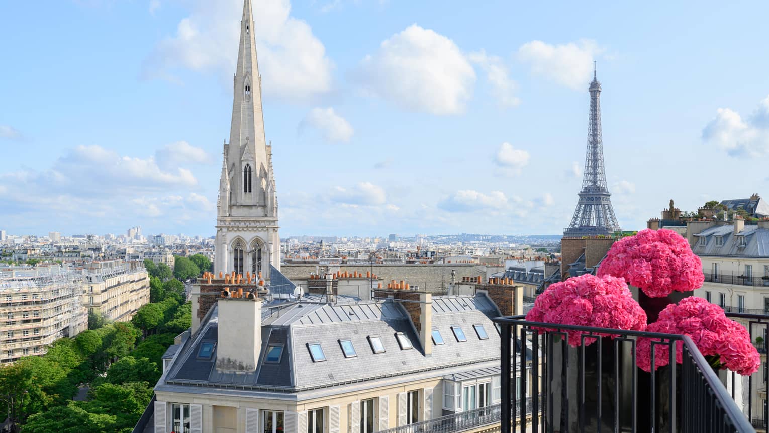 Pink flowers on balcony in front of Paris rooftops, cathedral and blue sky