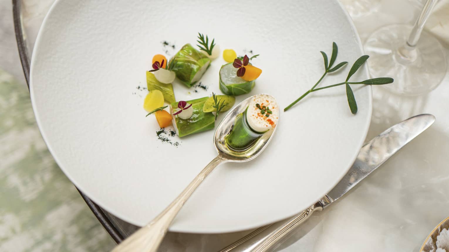 A vegetable based dish garnished with sprigs of colorful herbs and a green sauce