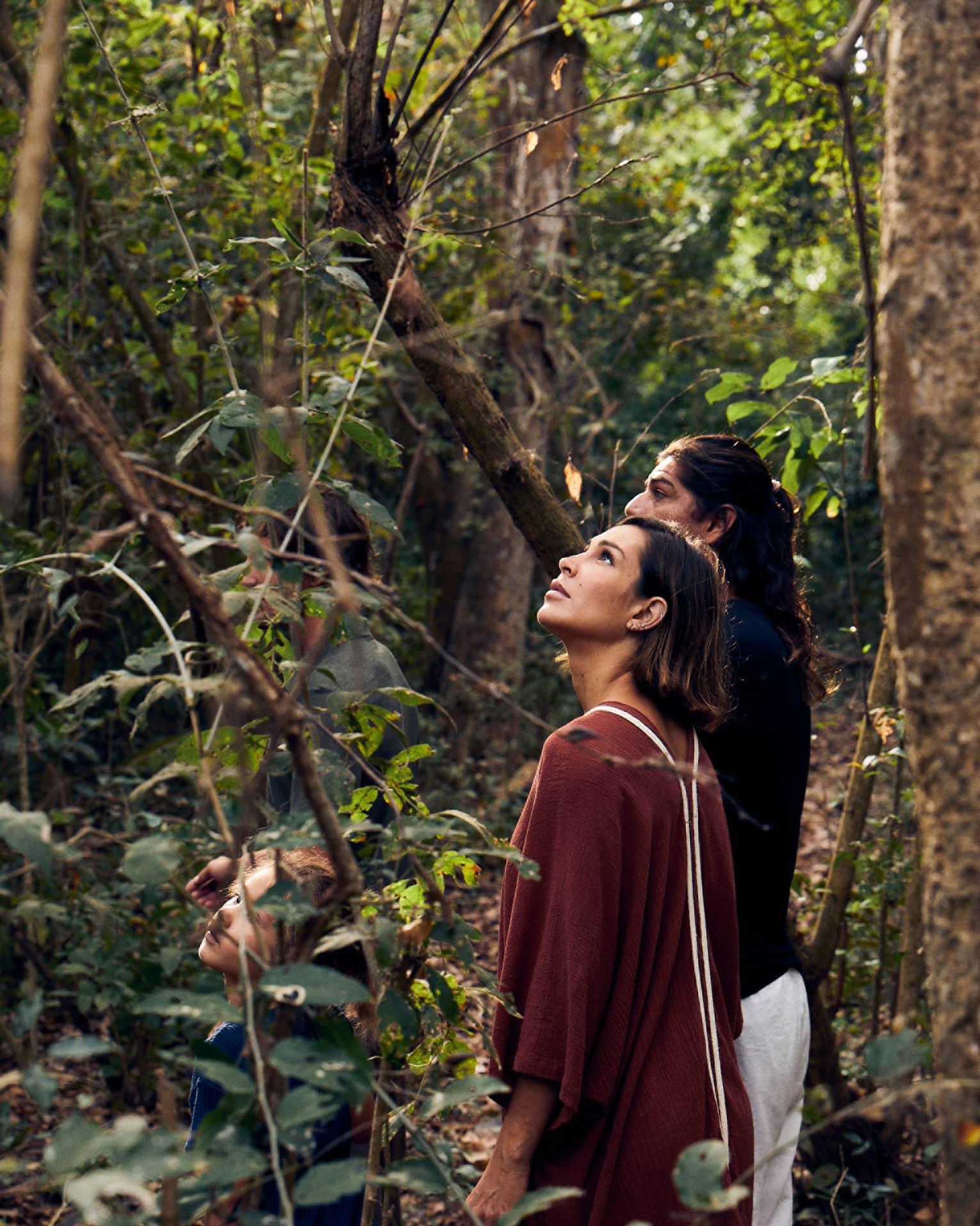 Close-up of four guests standing in a dense forest, two of them partially hidden by the foliage and two looking skyward.