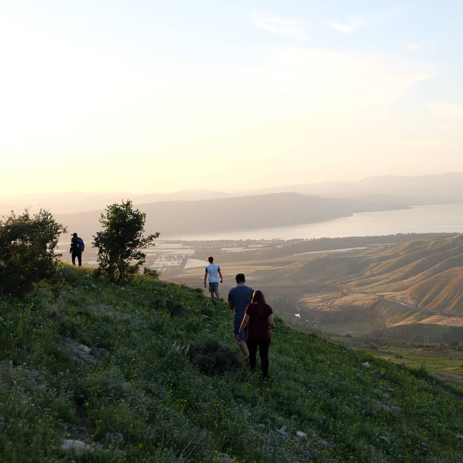 Four people hike in the green, lush, shaded side of a mountain overlooking more mountains and a body of water in Amman