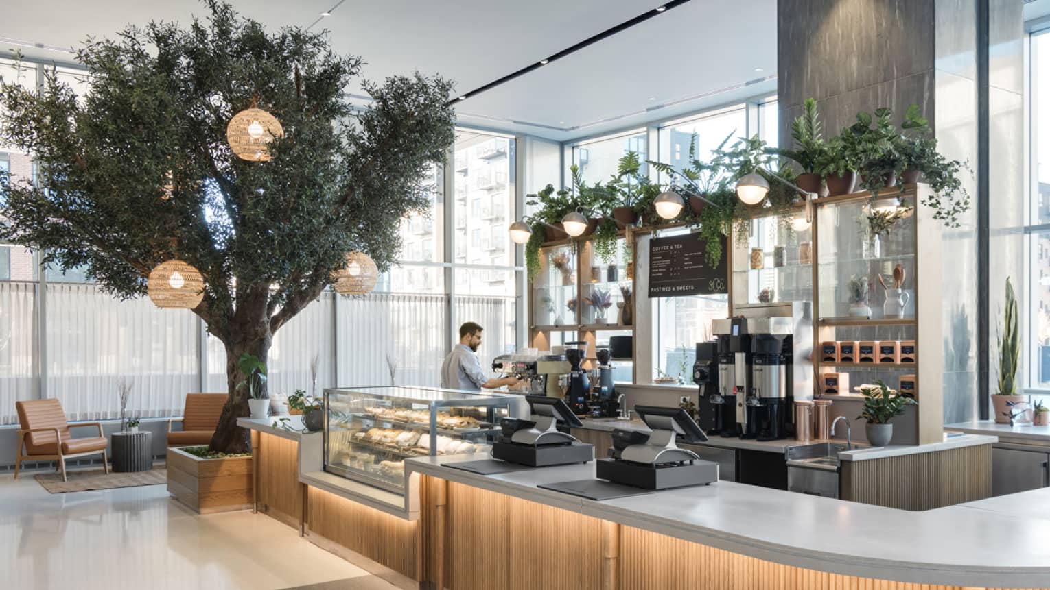 A small indoor cafe area with a tree next to it and someone working behind the counter.