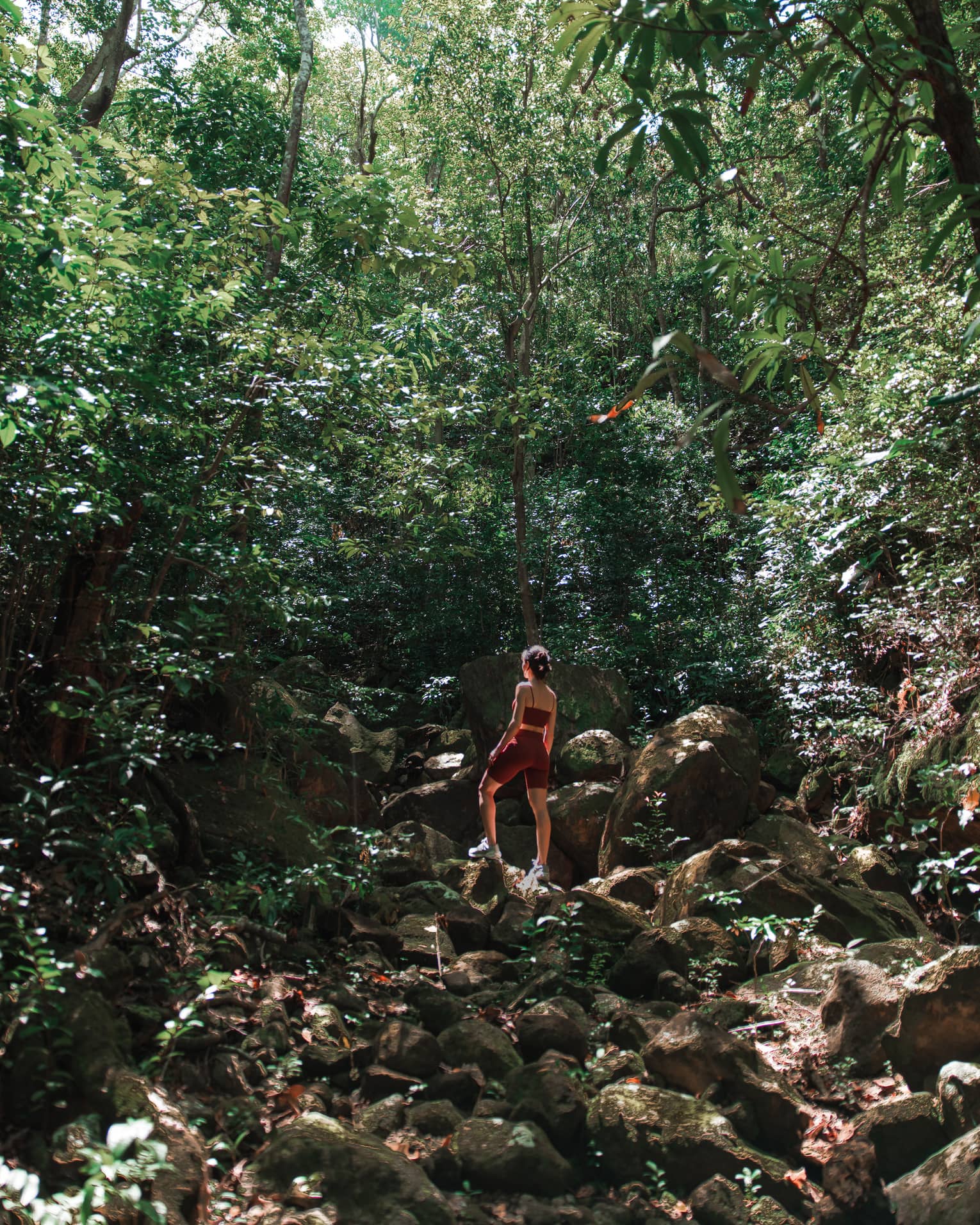 Woman in athletic wear standing atop a rocky hill and surrounded by green forest