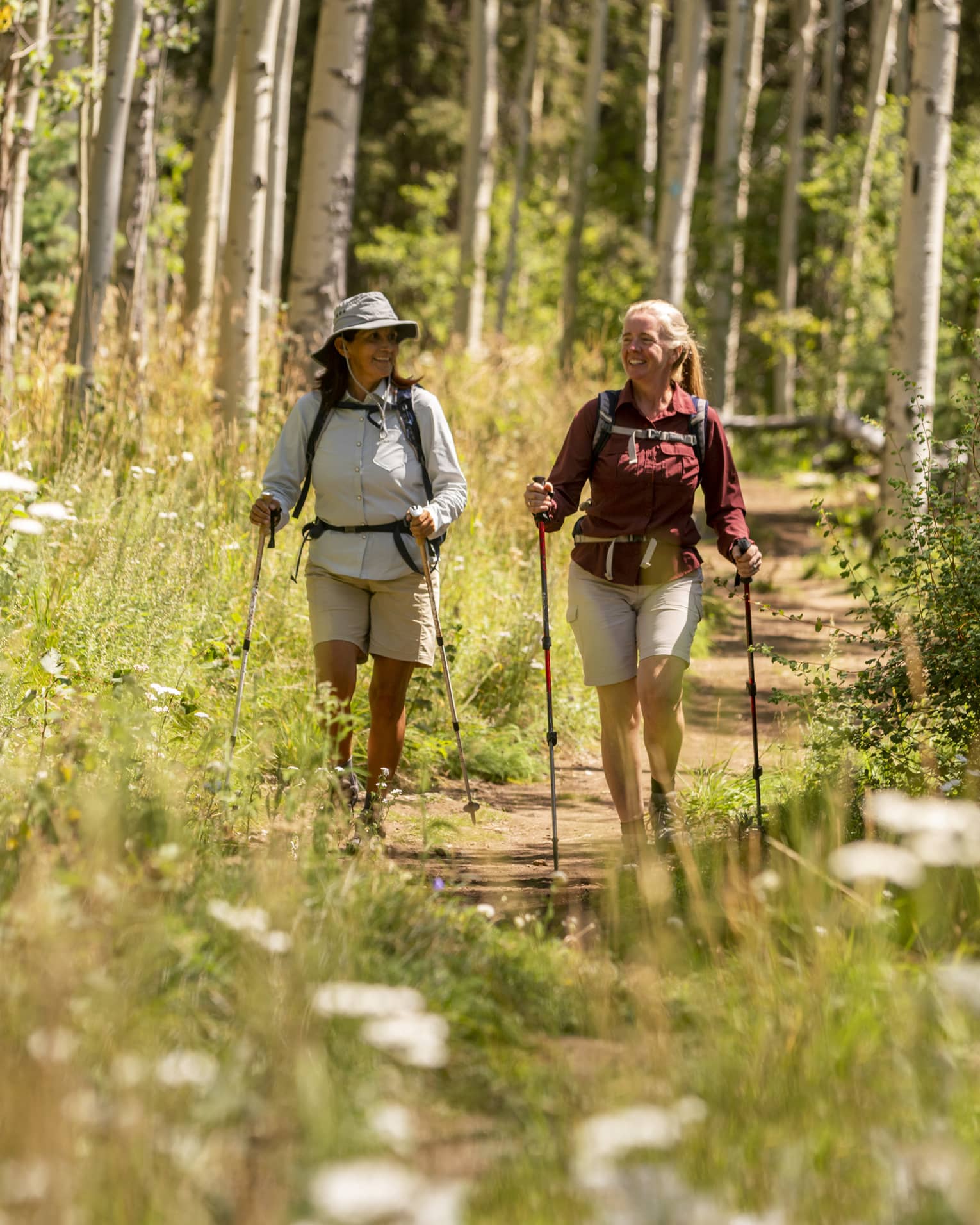 Two smiling hikers with walking poles hike along a sunny path within a golden forest of wildflowers and white-barked trees.