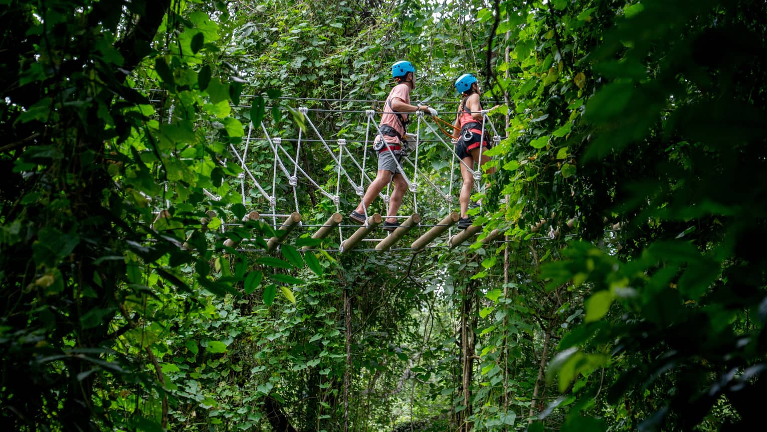 Two people wearing blue helmets walking through a thick treeline on an aerial ropes course
