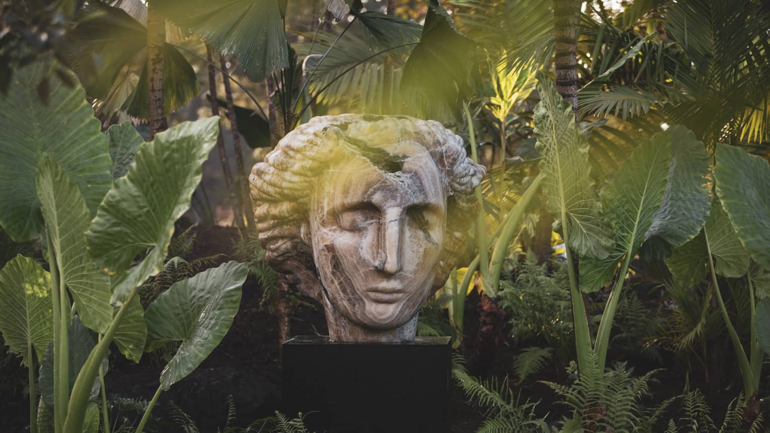 Bust with closed eyes amid tropical foliage